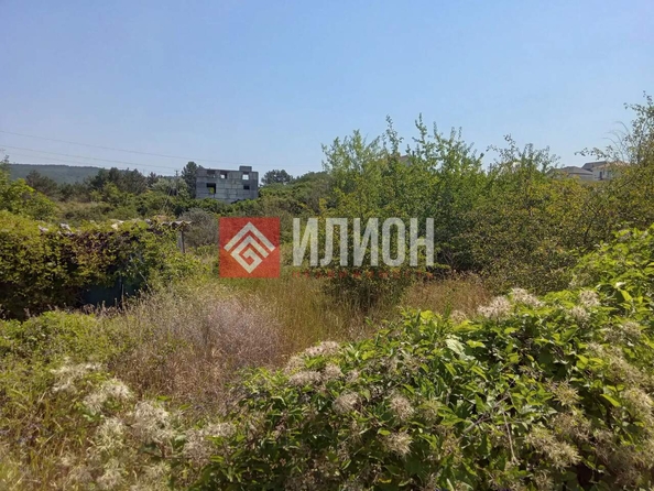 
  Продается земельный участок 10 соток. Фото 1.