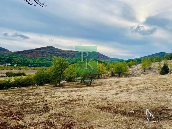 
  Продается земельный участок 70 соток. Фото 7.