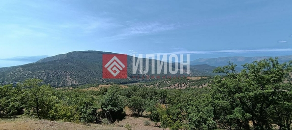 
  Продается земельный участок 8 соток. Фото 2.