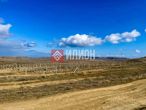 
  Продается земельный участок 6 соток. Фото 7.