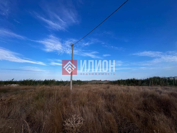 
  Продается земельный участок 10 соток. Фото 3.