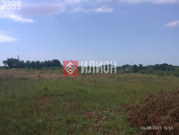 
  Продается земельный участок 50 соток. Фото 5.