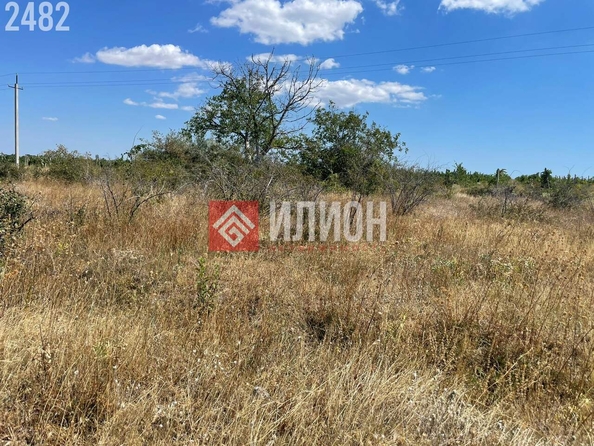 
  Продается земельный участок 400 соток. Фото 3.