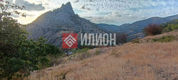 
  Продается земельный участок 25 соток. Фото 2.