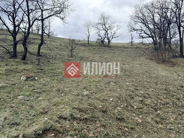 
  Продается земельный участок 4 сотки. Фото 15.