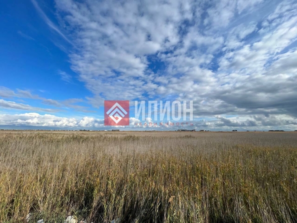 
  Продается земельный участок 6 соток. Фото 2.
