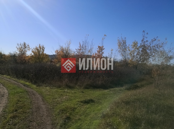 
  Продается земельный участок 243 сотки. Фото 7.