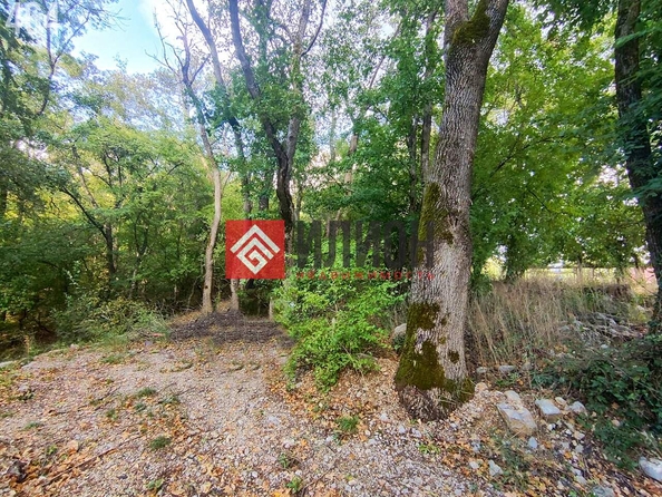 
  Продается земельный участок 11 соток. Фото 2.