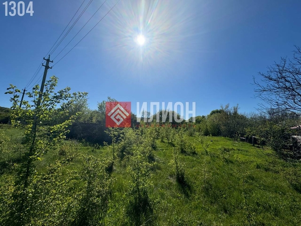 
  Продается земельный участок 10 соток. Фото 2.