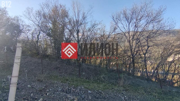 
  Продается земельный участок 6 соток. Фото 7.