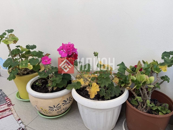 
  Продается апартамент 45 м². Фото 10.