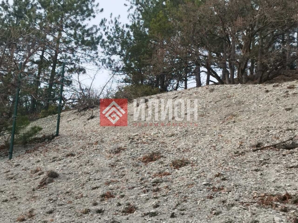 
  Продается земельный участок 11 соток. Фото 5.