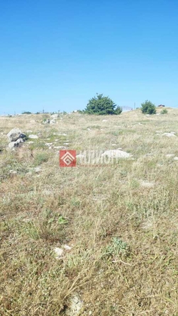 
  Продается земельный участок 10 соток. Фото 5.