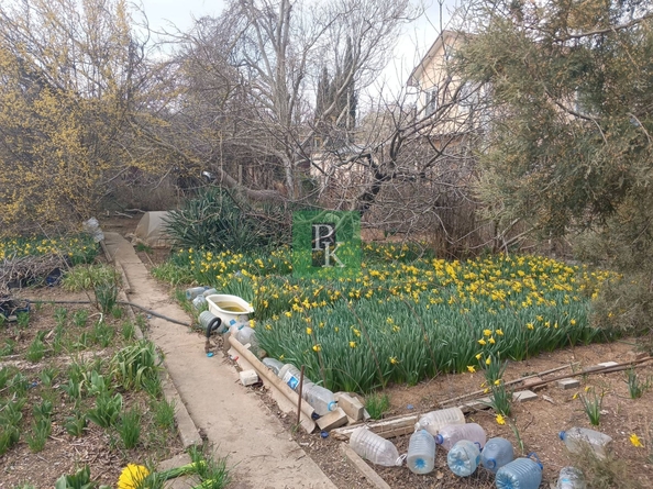 
  Продается земельный участок 20 соток. Фото 5.