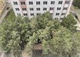 Сосновый бор: Ход строительства 23 апреля 2026