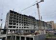 Фруктовый сад: Ход строительства 28 мая 2026