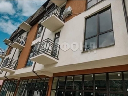 Продается 1-комнатная квартира Пластунская ул, 30  м², 8200000 рублей