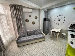 Продается 1-комнатная квартира Просвещения ул, 24.4  м², 9800000 рублей