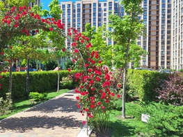 Продается 1-комнатная квартира Парковая ул, 39 м², 6598000 рублей