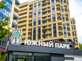 Продается 2-комнатная квартира Пластунская ул, 44.32  м², 18049920 рублей