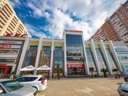 Сдается Торговое Петра Метальникова ул, 165.1  м², 313690 рублей