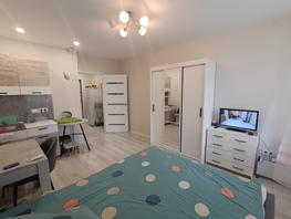 Продается Студия Рождественская ул, 28  м², 5200000 рублей