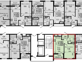 Продается 1-комнатная квартира ЖК Botanica Hills (Ботаника Хилс), литера 1, 33.46  м², 10303000 рублей