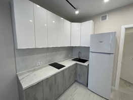 Продается 1-комнатная квартира Омелькова ул, 46  м², 7900000 рублей