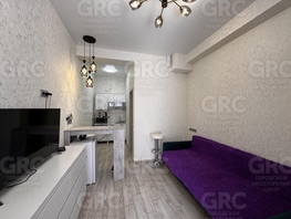Продается Студия Батумское шоссе ул, 20.4  м², 4600000 рублей