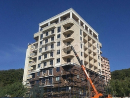 Продается 1-комнатная квартира Каспийская (Адлерский р-н) ул, 30  м&sup2;, 11000000 рублей