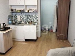 Продается Студия Петра Метальникова ул, 24.1  м&sup2;, 3430000 рублей