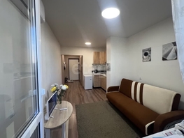 Продается Студия Адмирала Серебрякова ул, 20.6  м&sup2;, 4250000 рублей