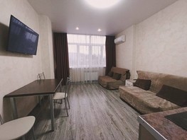Продается 1-комнатная квартира Пионерская ул, 27  м², 7300000 рублей