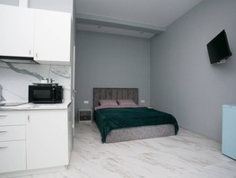 Продается 1-комнатная квартира Просвещения ул, 24.7  м², 8400000 рублей