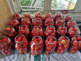 Продается Дачный участок 5 сот., 2900000 рублей