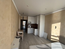 Продается Студия Космонавтов пр-кт, 28 м², 5400000 рублей