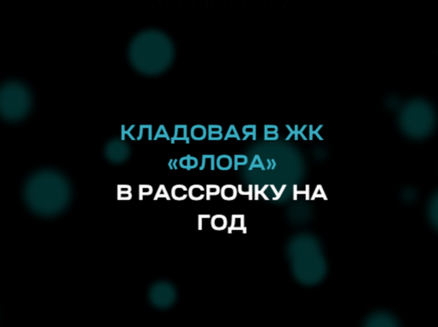 Неометрия: Кладовая в рассрочку на год