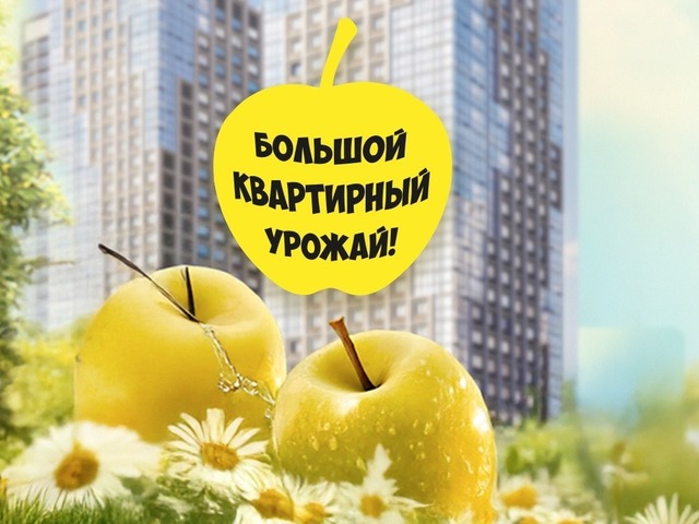 Акции августа